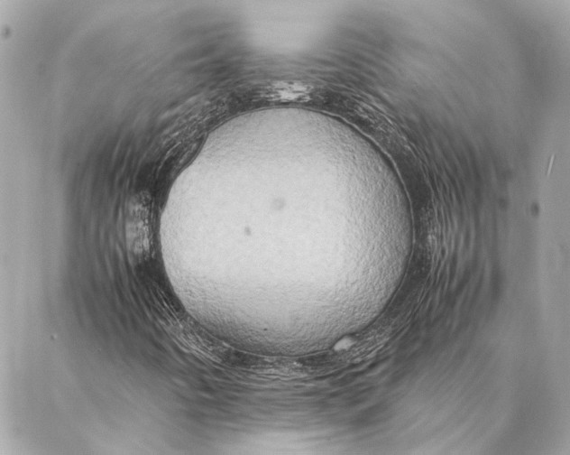 X0000086941442200705071406