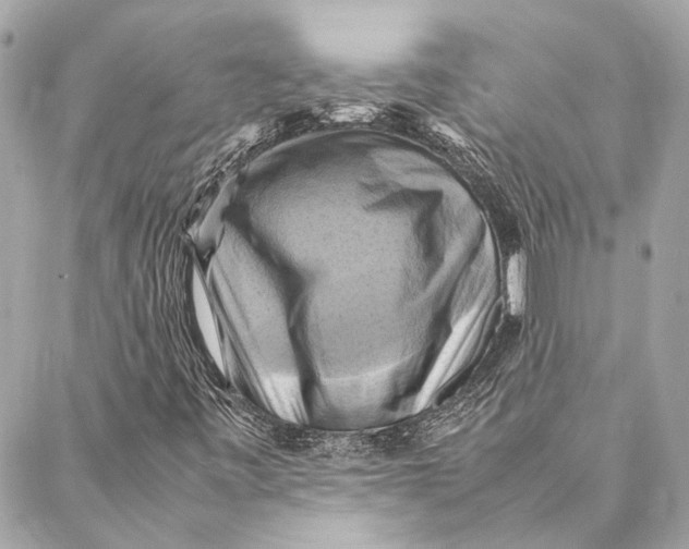 X0000086941443200705071406