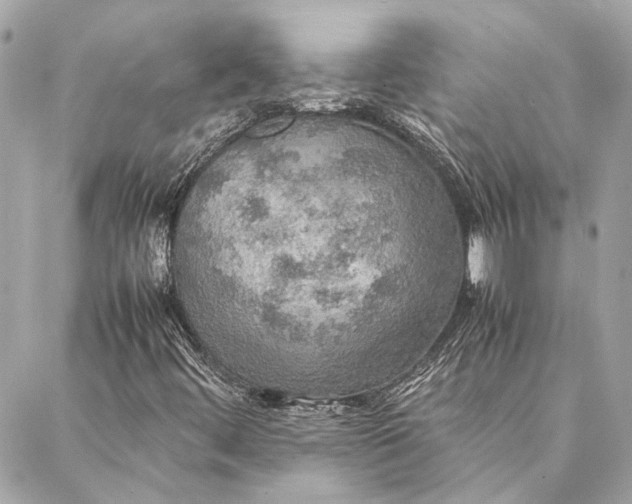 X0000086941444200705071406