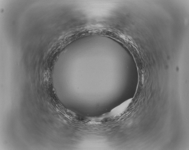 X0000086941445200705071406