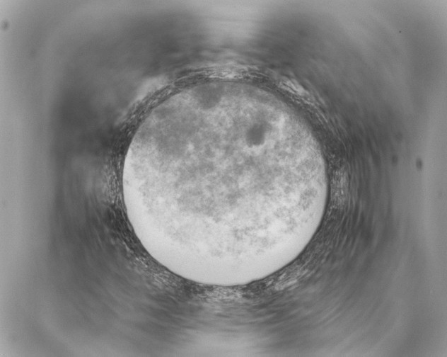 X0000086941446200705071406