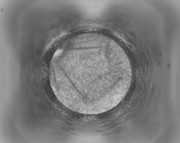 X0000086941447200705071406