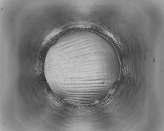 X0000086941448200705071406