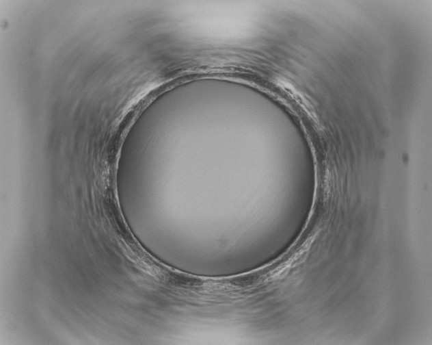 X0000086941449200705071406