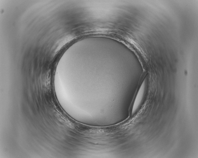 X0000086941450200705071406