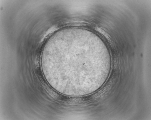 X0000086941451200705071406