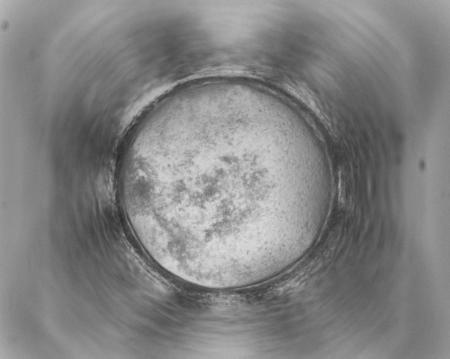 X0000086941452200705071406