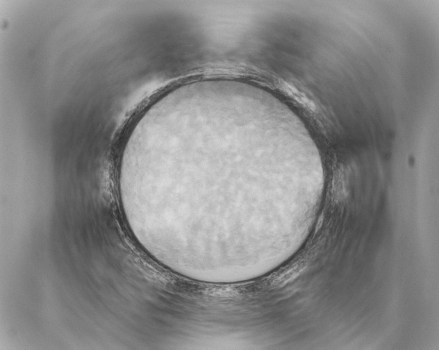 X0000086941454200705071406