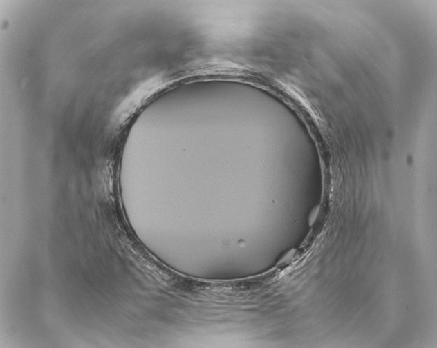 X0000086941455200705071406