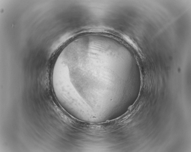 X0000086941456200705071406