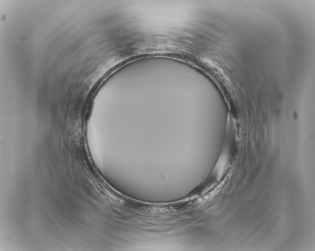 X0000086941457200705071406