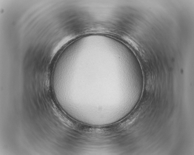 X0000086941458200705071406