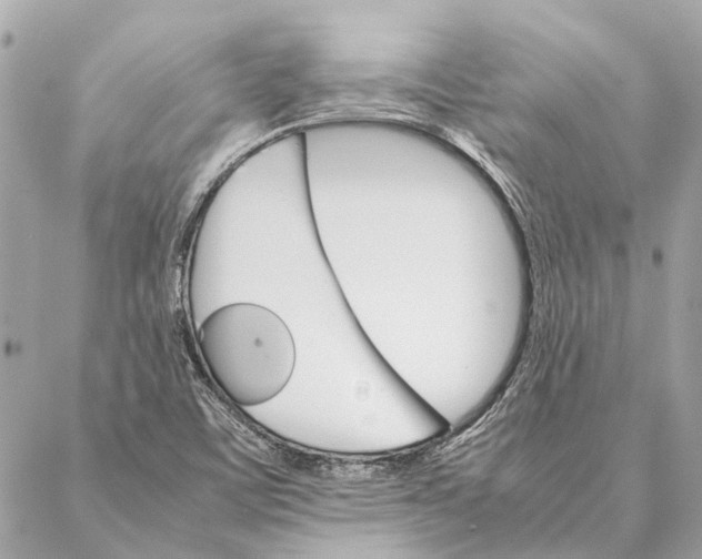 X0000086941459200705071406