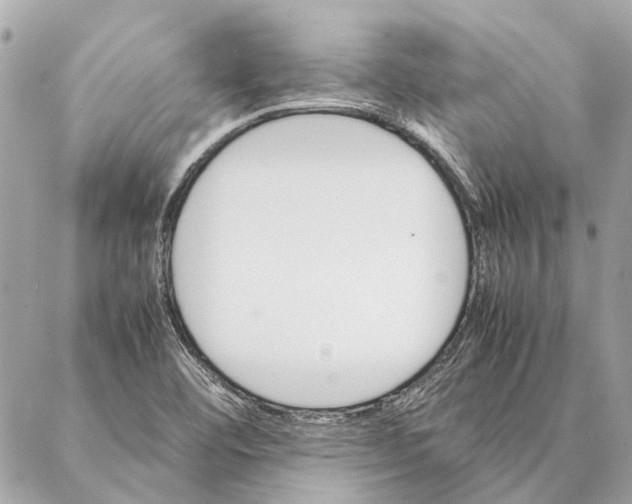 X0000086941460200705071406