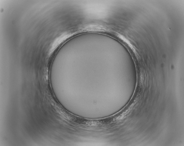 X0000086941461200705071406