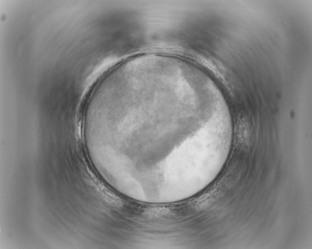 X0000086941462200705071406