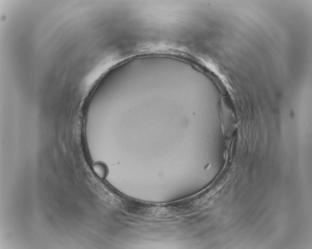 X0000086941463200705071406