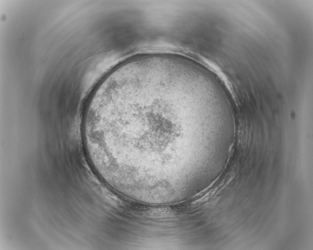 X0000086941464200705071406