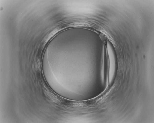 X0000086941465200705071406