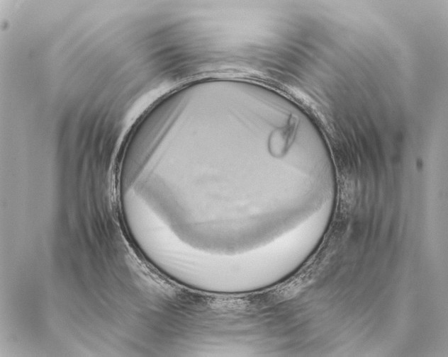 X0000086941466200705071406