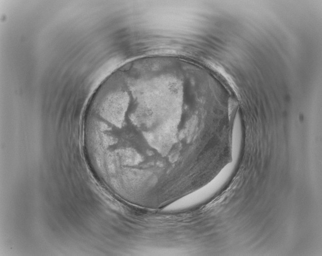 X0000086941467200705071406