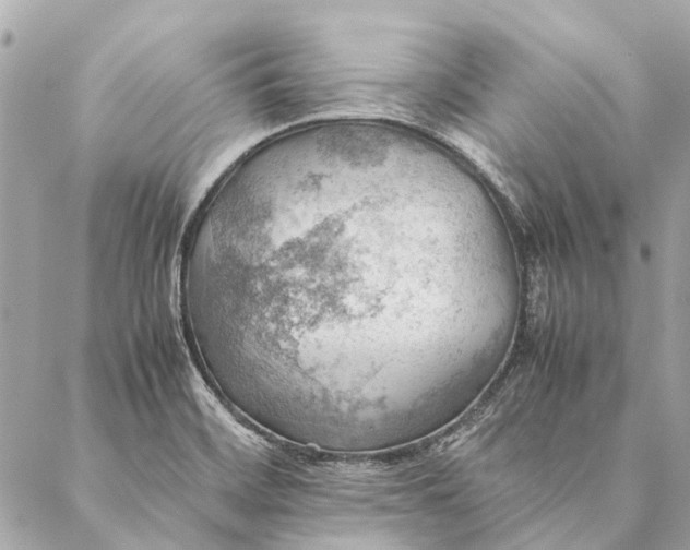 X0000086941468200705071406