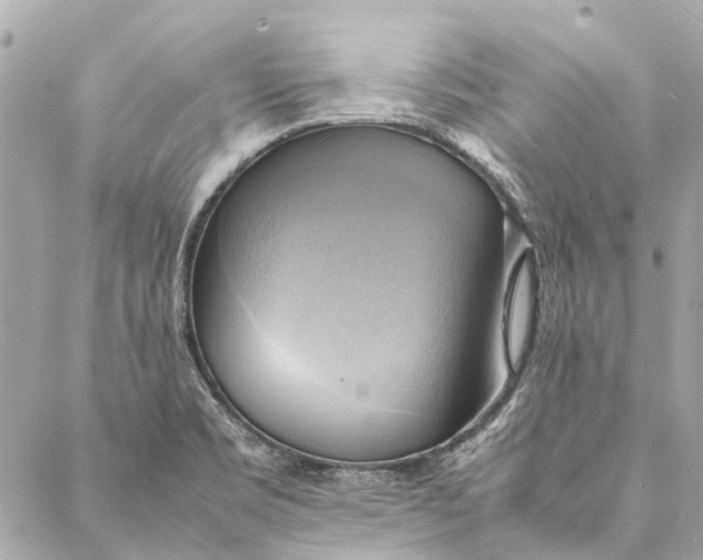 X0000086941469200705071406