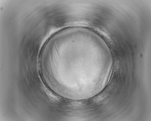 X0000086941470200705071406