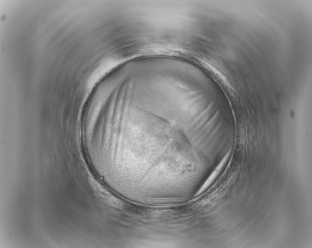 X0000086941471200705071406