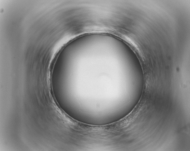 X0000086941472200705071406