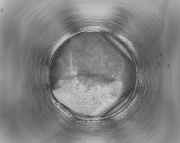 X0000086941473200705071406