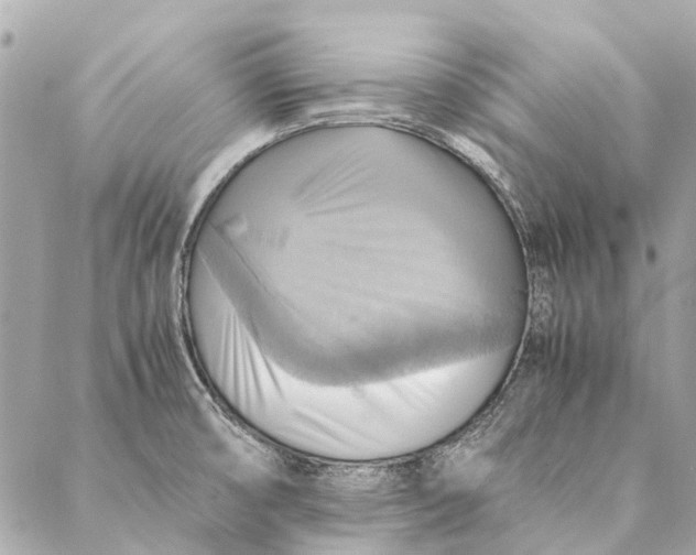 X0000086941474200705071406