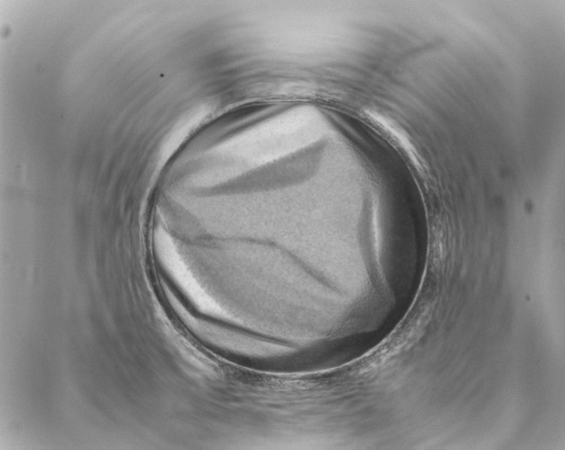 X0000086941475200705071406