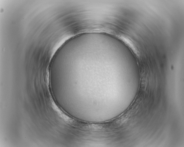 X0000086941476200705071406