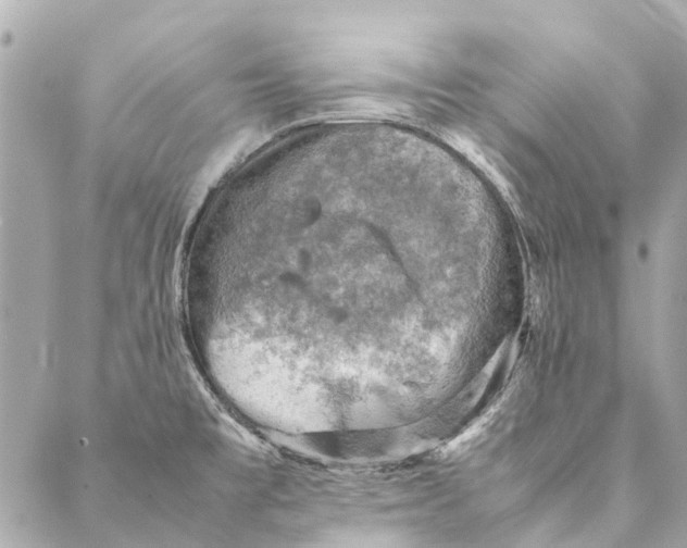 X0000086941477200705071406