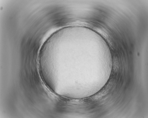 X0000086941478200705071406