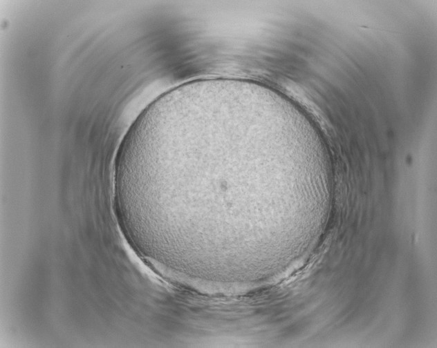 X0000086941479200705071406