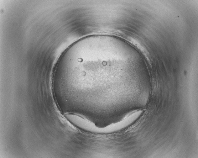 X0000086941480200705071406