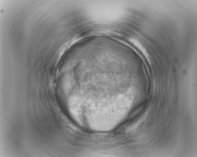 X0000086941481200705071405