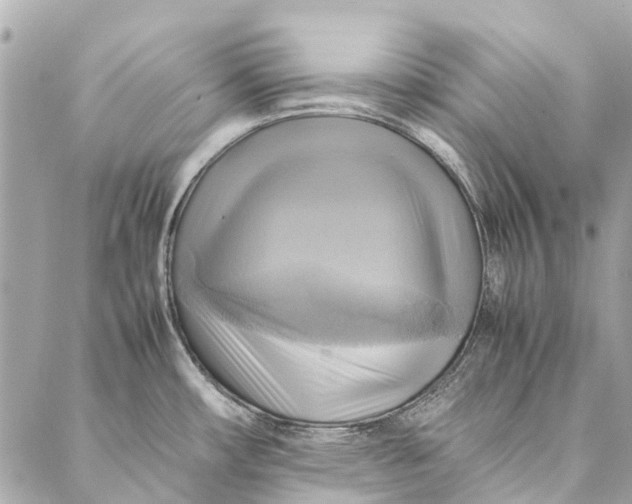 X0000086941482200705071405