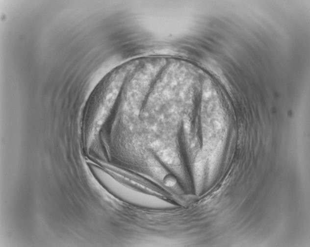 X0000086941483200705071405