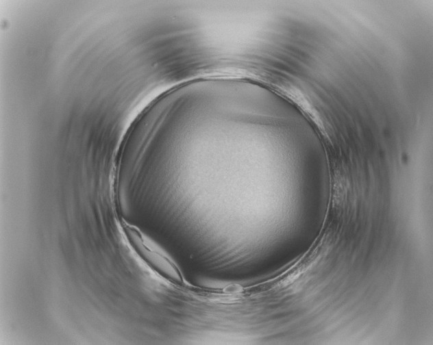 X0000086941484200705071405