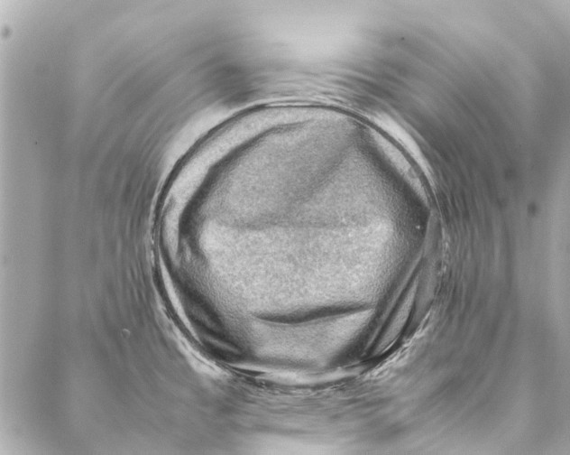 X0000086941485200705071405