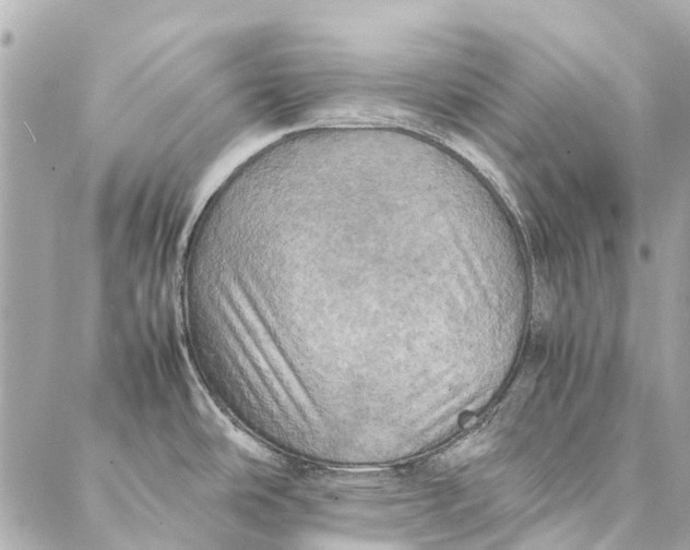 X0000086941486200705071405