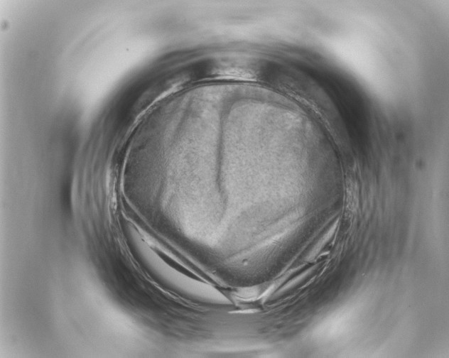 X0000086941487200705071405