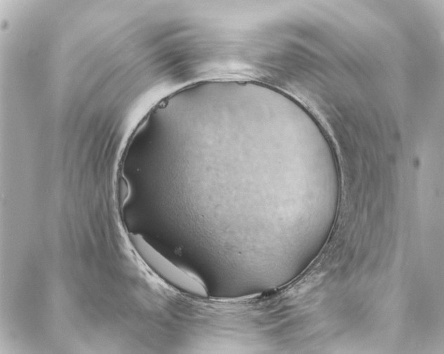 X0000086941488200705071405