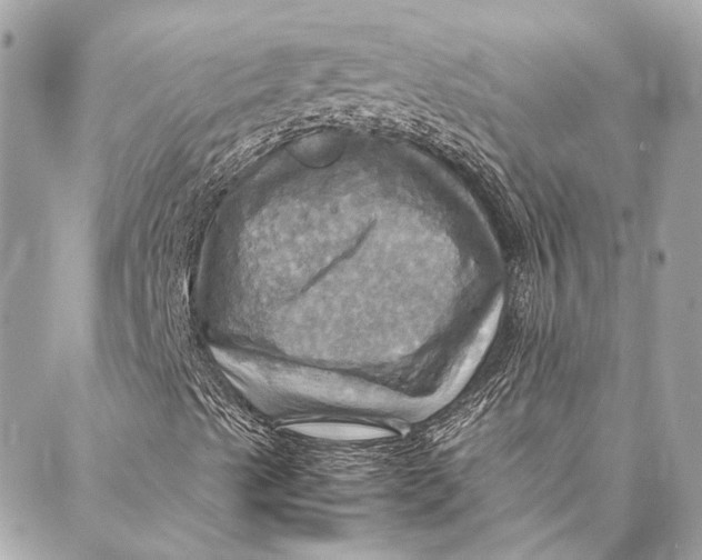 X0000086941489200705071405