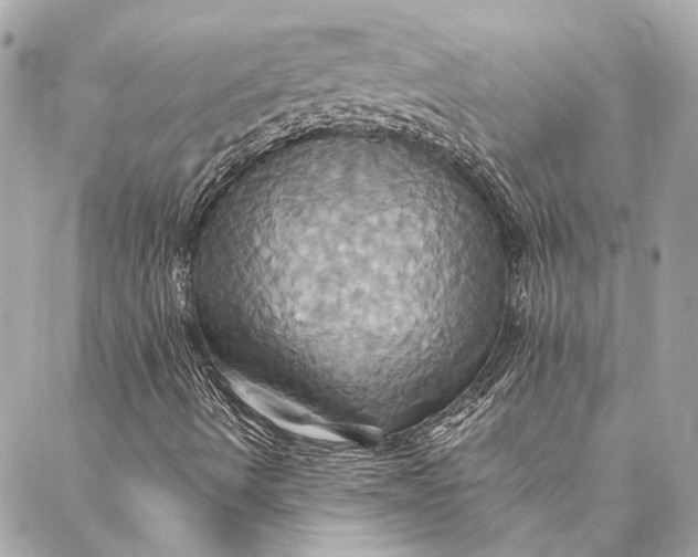 X0000086941490200705071405