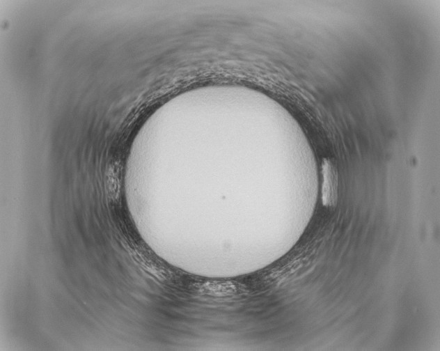 X0000086941491200705071405