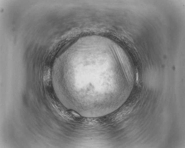 X0000086941492200705071405